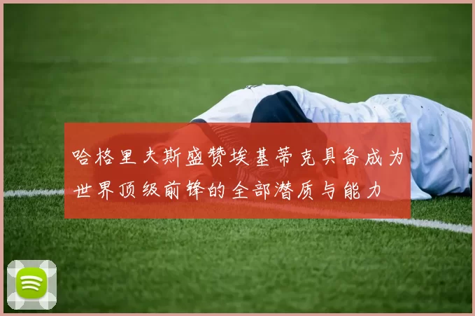 哈格里夫斯盛赞埃基蒂克具备成为世界顶级前锋的全部潜质与能力